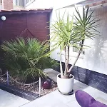 Apartament Marija Nada Malinska